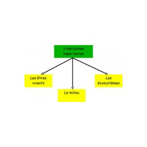 Les disciplines de l'écologie