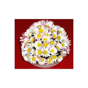 Bouquet de pâquerettes en forme de grosse boule