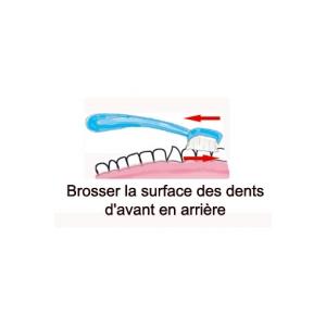 Brossage des dents efficaces