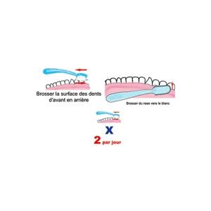 Les étapes du brossage
