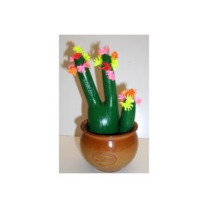 Fabriquer un cactus en plâtre à offrir en cadeau