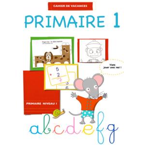 Cahier de vacances primaire niveau 1