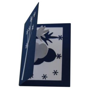 carte voeux