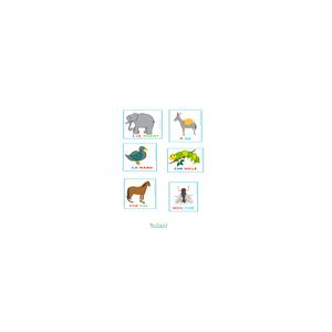Carte lecture : éléphant, âne, canard, chenille, cheval et mouche