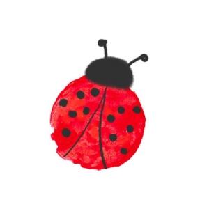Peindre des coccinellesaux doigts