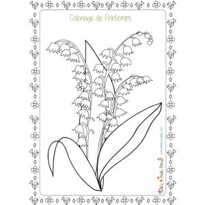Coloriage du printemps : Dessin d'un grand brin de muguet que fleurit au printemps dans les sous-bois.