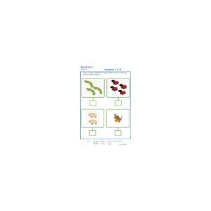 exercice 4 : compter en maternelle niveau 2