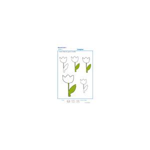 Compter et colorier les fleurs