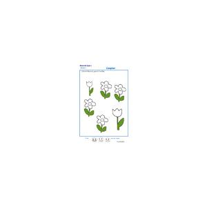 exercice n°3 : colorier le bon nombre de fleurs MS