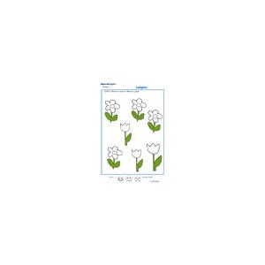 Exercice 4 pour compter les fleurs