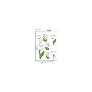 Colorier les fleurs en suivant la consigne MS