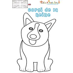 Coloriage de Corgi, le chien de la reine Élisabeth II