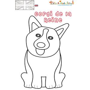 Coloriage Corgi le chien de la reine