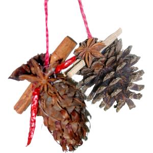 Fabriquer une suspension en pomme de pin