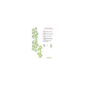 Les plantes vertes le jardin de Mathilde
