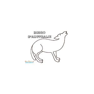 Coloriage dingo d'Australie