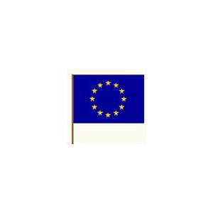 Drapeau de l'Europe