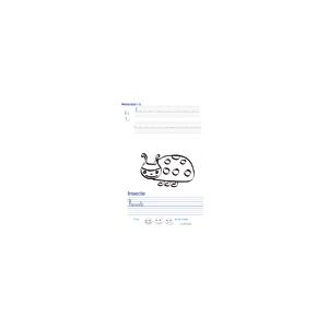 Imprimer la page d'écriture sur l'insecte 