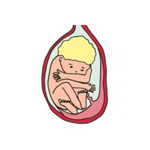 A 9 mois de grossesse votre bébé a une belle peau rose. Ses cheveux ont poussé, certains bébés sont déjà très chevelus alors que d'autres paraissent presque chauves. V