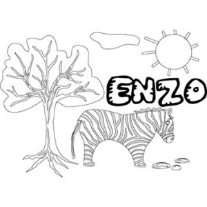 Enzo