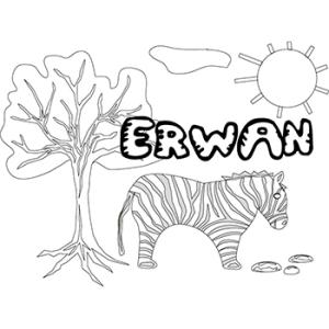 Erwan