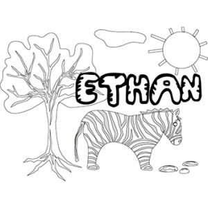 Ethan
