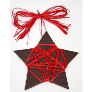 Etoile de Noël