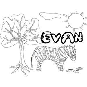 Evan