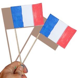 Fanion de la France