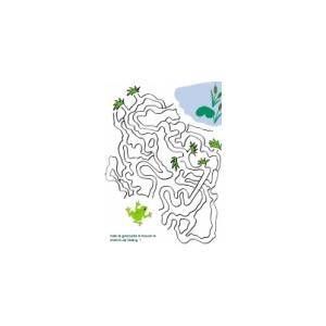 Fiche d'activit&eacute;s sur la grenouille &agrave; imprimer