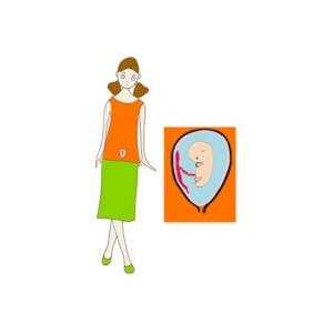 Taille de bébé à 2 mois de grossesse