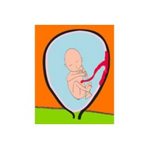 Les mouvements de bébé à 4 mois de grossesse 