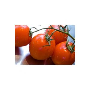 La tomate est-elle un fruit ou un légume ?
