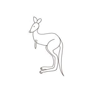dessin d'un kangourou