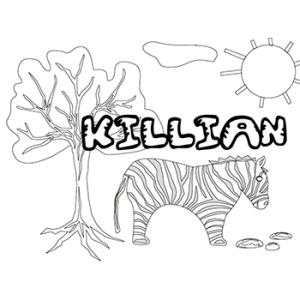 Killian