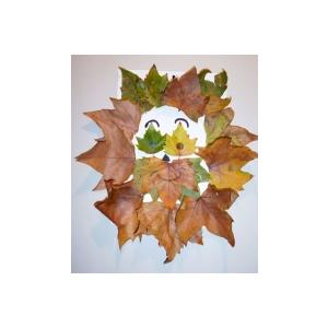 Fabriquer un lion en  feuilles d'automne