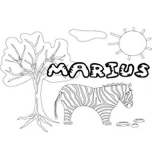 Marius