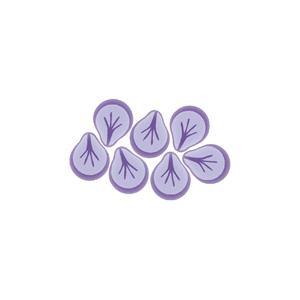 Modèle des pétales pour le masque de fleur