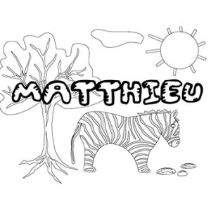 Matthieu