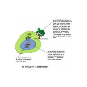 Le milieu se décompose 