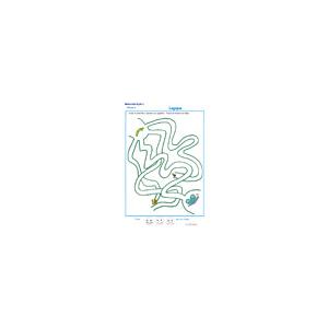 labyrinthe 5 MS : La chenille 