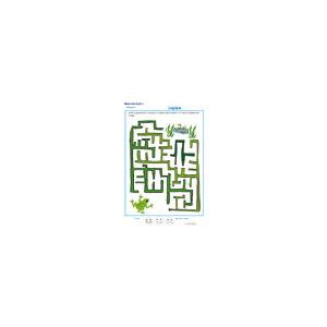 labyrinthe 6 MS : La grenouille et la marre 