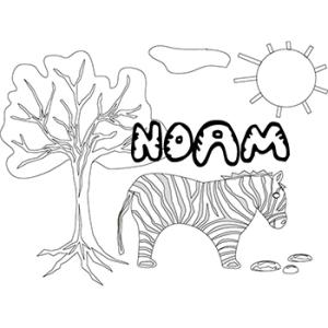 Noam