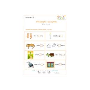 Exercice orthographe CP