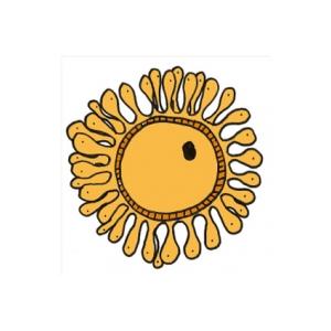 Ovule