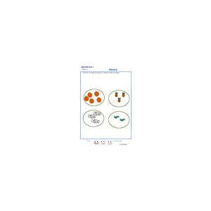Exercice 1 pour comparer des quantités PS