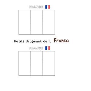 Mini drapeaux de la France