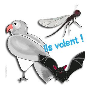 Jeu Pigeon vole