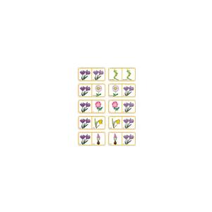 Planche de fleurs pour fabriquer un jeu de dominos