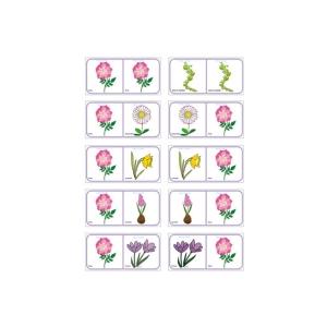 Jeu de dominos des fleurs à imprimer